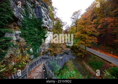 Wandern im Mullerthal Das romantische Mullerthal a Lussemburgo. Fotografiert AM 29.10..2024. Müllerthal Mullerthal Lussemburgo  JK10559 *** escursioni nel Mullerthal il romantico Mullerthal in Lussemburgo fotografato il 29 10 2024 Mullerthal Mullerthal Lussemburgo JK10559 Foto Stock