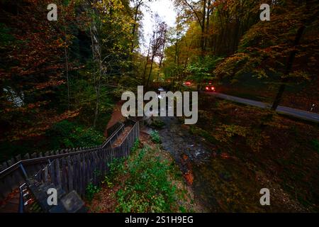 Wandern im Mullerthal Das romantische Mullerthal a Lussemburgo. Fotografiert AM 29.10..2024. Müllerthal Mullerthal Lussemburgo  JK10569 *** escursioni nel Mullerthal il romantico Mullerthal in Lussemburgo fotografato il 29 10 2024 Mullerthal Mullerthal Lussemburgo JK10569 Foto Stock