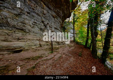 Wandern im Mullerthal Das romantische Mullerthal a Lussemburgo. Fotografiert AM 29.10..2024. Müllerthal Mullerthal Lussemburgo  JK10582 *** escursioni nel Mullerthal il romantico Mullerthal in Lussemburgo fotografato il 29 10 2024 Mullerthal Mullerthal Lussemburgo JK10582 Foto Stock