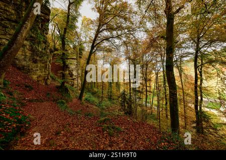 Wandern im Mullerthal Das romantische Mullerthal a Lussemburgo. Fotografiert AM 29.10..2024. Müllerthal Mullerthal Lussemburgo  JK10756 *** escursioni nel Mullerthal il romantico Mullerthal in Lussemburgo fotografato il 29 10 2024 Mullerthal Mullerthal Lussemburgo JK10756 Foto Stock