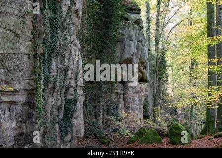 Wandern im Mullerthal Das romantische Mullerthal a Lussemburgo. Fotografiert AM 29.10..2024. Müllerthal Mullerthal Lussemburgo FH0A9264 *** escursioni nel Mullerthal il romantico Mullerthal in Lussemburgo fotografato il 29 10 2024 Mullerthal Mullerthal Lussemburgo FH0A9264 Foto Stock