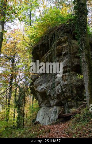 Wandern im Mullerthal Das romantische Mullerthal a Lussemburgo. Fotografiert AM 29.10..2024. Müllerthal Mullerthal Lussemburgo FH0A8999 Foto Stock