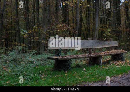 Wandern im Mullerthal Das romantische Mullerthal a Lussemburgo. Fotografiert AM 29.10..2024. Müllerthal Mullerthal Lussemburgo FH0A9150 *** escursioni nel Mullerthal il romantico Mullerthal in Lussemburgo fotografato il 29 10 2024 Mullerthal Mullerthal Lussemburgo FH0A9150 Foto Stock