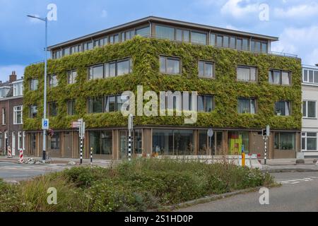 Moderno edificio verde con la facciata completamente coperta di piante per una vita sostenibile, nuovo edificio a Utrecht Foto Stock