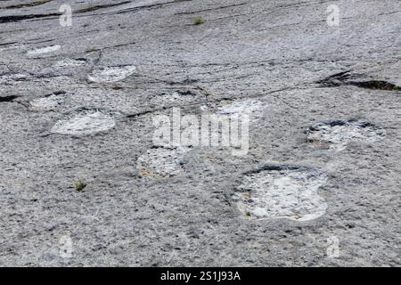 Reali impronte di dinosauri impresse nella roccia in un luogo pubblico, il Monumento Natural das Pegadas de Dinossáurios de Ourém Portogallo. Foto Stock
