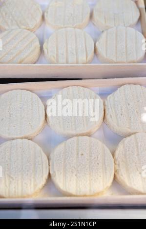 Rocamadour o Cabecous formaggio caprino morbido AOC con crosta tenera prodotto in azienda a Perigord e Quercy sul mercato agricolo, lotto di dipartimento in Francia Foto Stock