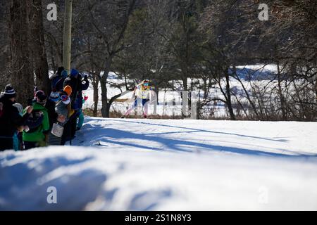 World Cup Wirth Park Foto Stock