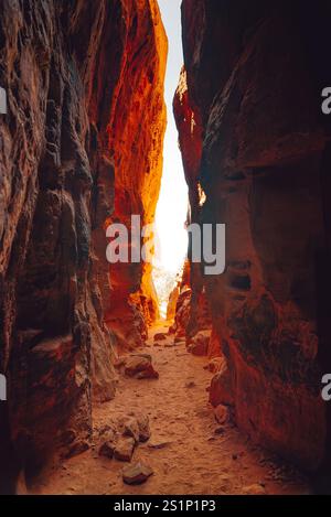 La luce del sole scorre attraverso le strette pareti di questo canyon mozzafiato Foto Stock