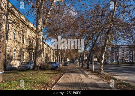 4 gennaio 2024, Novi Sad, Serbia. Atmosfera festosa di Novi Sad, Serbia, mentre le strade della città si animano con allegria natalizia e decorazioni vivaci, Foto Stock