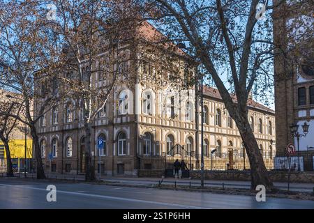 4 gennaio 2024, Novi Sad, Serbia. Atmosfera festosa di Novi Sad, Serbia, mentre le strade della città si animano con allegria natalizia e decorazioni vivaci, Foto Stock