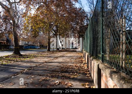 4 gennaio 2024, Novi Sad, Serbia. Atmosfera festosa di Novi Sad, Serbia, mentre le strade della città si animano con allegria natalizia e decorazioni vivaci, Foto Stock