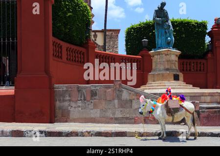 Ritratto di un asino tradizionale in una piazza storica della città, San Miguel De Allende, Messico Foto Stock