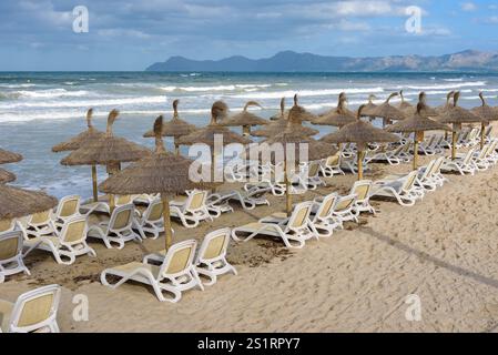 Spiaggia sabbiosa con ombrelloni di paglia e lettini a CAN Picafort, località turistica nel nord di Maiorca. Isole Baleari, Spagna Foto Stock
