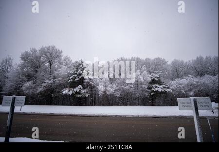 Vista della neve che cade sui pini dall'altro lato della strada Foto Stock