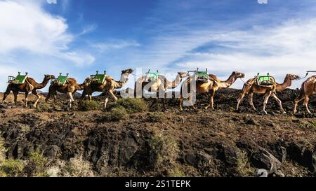2016, Parco Nazionale di Timanfaya, Lanzarote, Monti del fuoco del Parco Nazionale di Timanfaya, Montanas del Fuego, ESP, Spagna, Isole Canarie, isole Canarie, A. Foto Stock