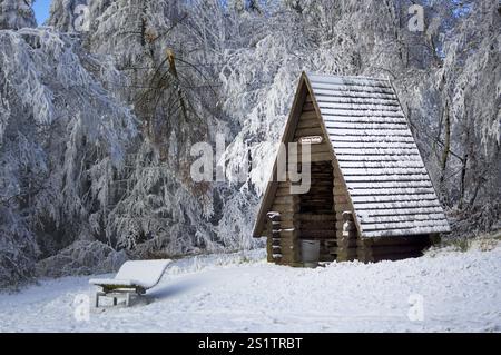Impressioni invernali nel Sauerland Foto Stock