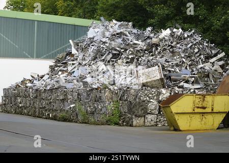 Sito di un deposito di rottami con container e gru Foto Stock