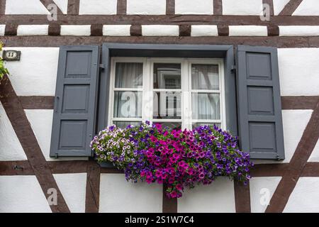 Vista pittoresca di una finestra in una casa per metà in legno a Monreal, il villaggio più bello dell'Eifel. Splendida finestra in una casa nel famoso V Foto Stock