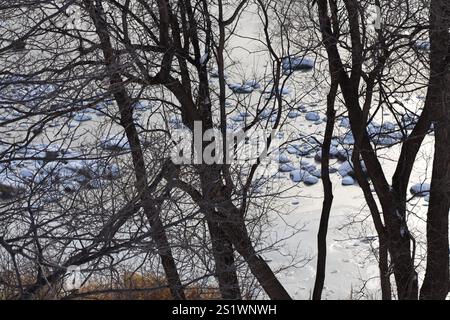 rocce innevate in un fiume ghiacciato visto attraverso gli alberi Foto Stock