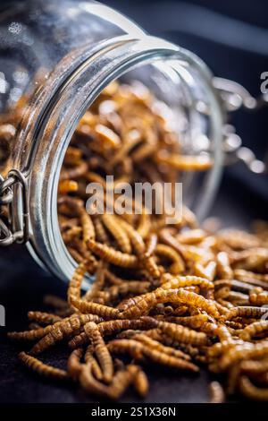 Vermi salati secchi. Vermi arrostiti in vasetto su un tavolo nero. Foto Stock