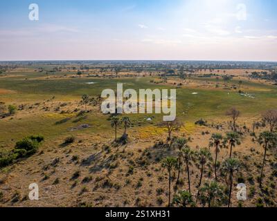 Paesaggio in Botswana. Volo da Maun al Delta dell'Okavango in elicottero. Foto Stock