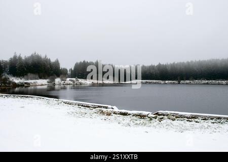 Fivemiletown, Regno Unito. 5 gennaio 2025. 05/01/2025 Fivemiletown credito: Bonzo/Alamy Live News Foto Stock