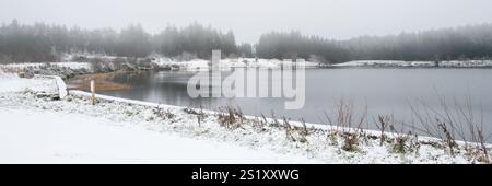 Fivemiletown, Regno Unito. 5 gennaio 2025. 05/01/2025 Fivemiletown credito: Bonzo/Alamy Live News Foto Stock