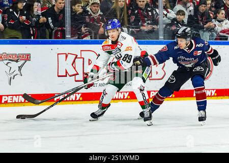 Germania. 5 gennaio 2025. Eishockey Penny-DEL 34.Spieltag Koelner Haie - Augsburger Panther am 05.01.2025 in der Lanxess Arena a Koeln Mark Zengerle ( Augusta ), Links - Jan Luca Sennhenn ( Koeln ), rechts Gemaess den Vorgaben der DEL Deutsche Eishockey Liga ist die Publikation und Weiterverwertung der Aufnahmen in elektronischen Mediahren Spifnahmen in Elahrtung Art Spifnahmen en en en Elahren en en en en en en en en en en en en en en en en. Foto: Revierfoto credito: ddp media GmbH/Alamy Live News Foto Stock