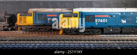 Locomotiva diesel classe 37 37401 Mary Queen of Scots, modello in scala a scartamento 00. In background, 37425, orgoglio delle Valli Foto Stock