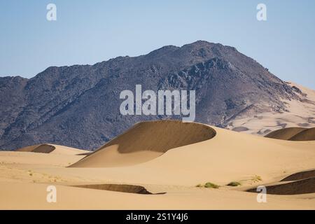 Bisha, Arabie Saoudite. 5 gennaio 2025. Durante la fase 2 della Dakar 2025 dal 5 al 6 gennaio 2025 intorno a Bisha, Arabia Saudita - Photo Frédéric le Floc'h/DPPI Credit: DPPI Media/Alamy Live News Foto Stock