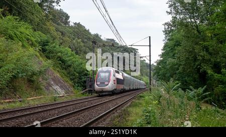 Un treno ad alta velocità è in viaggio per la Svizzera Foto Stock