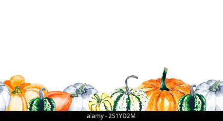 Zucche. Disegno ad acquerello di zucche brillanti. Bordo senza cuciture con verdure su trasparente. Foto Stock