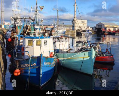 Barche da pesca e altre barche ormeggiate al porto di Troon, Ayrshire, Scozia, Regno Unito Foto Stock