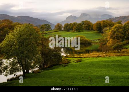 Una tipica scena del Lake District, guardando attraverso Loughrigg Tarn verso le Langdale Pikes in autunno. Foto Stock