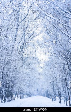 Un tranquillo scenario invernale caratterizzato da un sentiero innevato incorniciato da alberi carichi di gelo. Le fresche tonalità blu creano un'immagine pacifica e suggestiva di un se Foto Stock