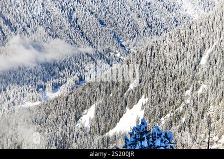 Scene invernali nella località sciistica di Chamonix-Mont-Blanc nelle Alpi francesi. alberi nella valle Foto Stock