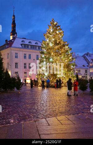 Gli alberi di Natale luminosi nella Piazza del Municipio di Tallinn. Si dice che sia stato il sito del primo albero di Natale al mondo nel 1441 Foto Stock