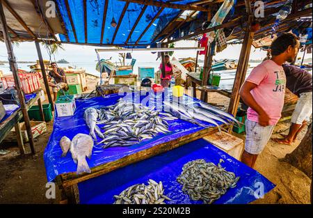 Bancarelle di mercato del pesce sulla spiaggia che vendono pesce appena pescato e frutti di mare, Galle, provincia meridionale, Sri Lanka Foto Stock