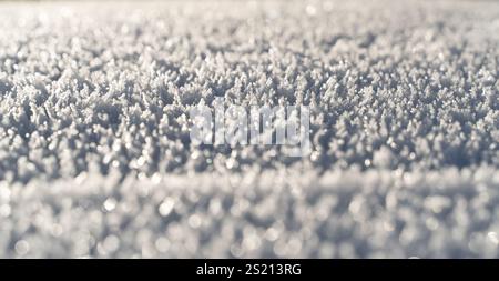 Vista macro di intricati cristalli di neve che brillano alla luce del sole, mostrando nei dettagli motivi naturali del gelo e texture invernali. Foto Stock