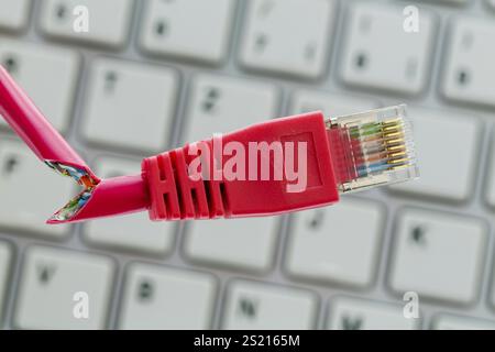 Cavo di rete difettoso sulla tastiera, foto simbolica per online, reti, interferenze e spionaggio Austria Foto Stock