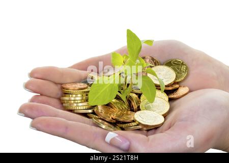 Mani con soldi e piante. Foto simbolica per la crescita del capitale attraverso l'interesse durante il salvataggio. Austria Foto Stock