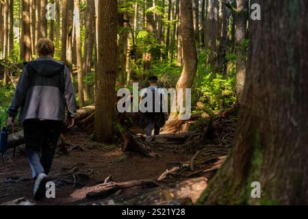 Due escursionisti, con zaini e vestiti in modo informale, camminano attraverso un lussureggiante sentiero verde nella foresta circondato da alberi torreggianti e dalla luce del sole Foto Stock