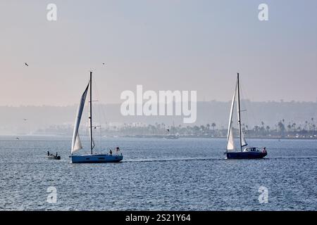 San Diego, California, Stati Uniti. 21 dicembre 2024. Due barche a vela navigano con grazia nelle calme acque della baia di San Diego, mentre le loro vele catturano la brezza dolce in un pomeriggio nebbioso. Una barca motorizzata più piccola corre dietro, aggiungendo un tocco di contrasto alla scena serena. In lontananza, le palme punteggiano il litorale, completando l'idilliaco sfondo costiero. Questa immagine cattura la tranquillità e il fascino della navigazione ricreativa nella pittoresca baia di San Diego. (Credit Image: © Ian L. Sitren/ZUMA Press Wire) SOLO PER USO EDITORIALE! Non per USO commerciale! Foto Stock