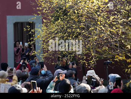 Hangzhou, la provincia cinese dello Zhejiang. 6 gennaio 2025. I visitatori possono ammirare i fiori invernali in un tempio di Hangzhou, nella provincia di Zhejiang, nella Cina orientale, 6 gennaio 2025. Crediti: Han Chuanhao/Xinhua/Alamy Live News Foto Stock