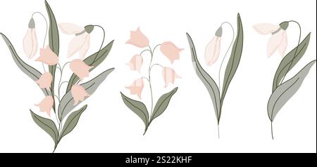 Illustrazione floreale minimalista di fiori primaverili con delicate tonalità pastello. Include delicati fiori a campana, gocce di neve, foglie e gambi eleganti Illustrazione Vettoriale