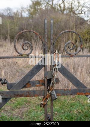 Cancello in metallo arrugginito ornato fissato da un lucchetto e una catena, Regno Unito Foto Stock