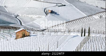 Panorama invernale della piccola casa rurale sulla collina innevata tra i vigneti vicino a Barolo in Piemonte. Foto Stock