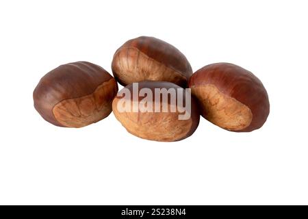 Primo piano di frutti di castagno isolato su bianco. Gruppo di quattro castagne. Frutta della foresta autunnale commestibile. Castanea sativa con noci lucide. Foto Stock