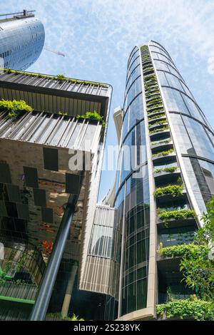 Architettura urbana moderna, verde giardino verticale, grattacieli, ritratto, Brisbane Australia Foto Stock