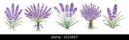 Set di fiori di lavanda viola. Illustrazioni vettoriali in stile acquerello disegnate a mano isolate su sfondo trasparente. Design moderno per inviti a matrimoni, Illustrazione Vettoriale